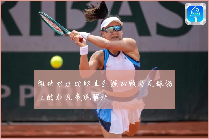维纳尔杜姆职业生涯回顾与足球场上的非凡表现解析