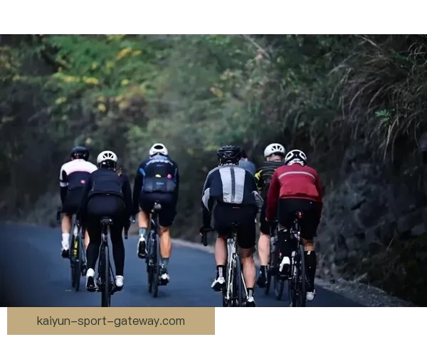 世界杯赛事胜负赔率实时查询与投注技巧全面指南