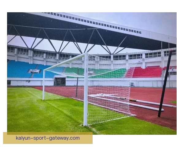 世界杯赛事胜负赔率实时查询与投注技巧全面指南